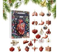 Calendrier de l'Avent | 2025 Figurines Anatomiques 2D De L Avent,Calendrier De Noël Décoratif Avec Cœur - Pour Étudiants Vacances Anniversaire Fête Salon Chambre Table Mur Étagère