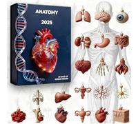 Calendrier de l'Avent anatomique - Figurines acryliques 2D de 24 jours, set de sciences médicales | Collection unique de modèles du corps humain, idée cadeau éducative avec présentation Decorat
