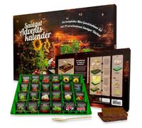 Calendrier de l'Avent graines - 24 variétés de graines - Kit de semis avec mini-serre - 373 x 253 mm