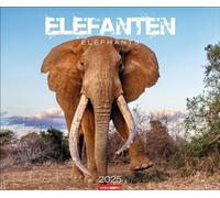 Calendrier éléphants 2025 : les doux géants de l'Afrique, représentés dans un grand calendrier mural. Calendrier photo de haute qualité entièrement impressionnant... x 46 cm paysage (calendrier animal