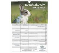 Calendrier familial - Calendrier mural format A3 - Pour planifier vos rendez-vous - 4 colonnes - Format A3 - Multicolore