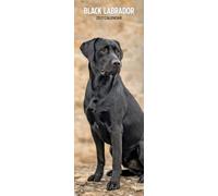 Calendrier fin 2027 Labrador noir