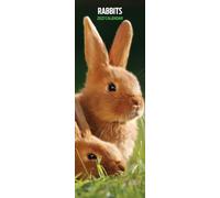 Calendrier fin 2027 Lapins