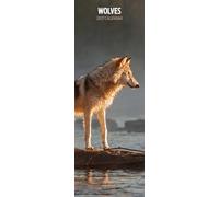 Calendrier fin 2027 Wolves