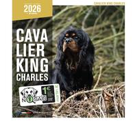 Calendrier Martin Sellier Cavalier King Charles Blanc TU