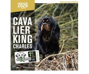 Calendrier Martin Sellier Cavalier King Charles Blanc TU