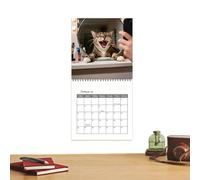Calendrier mural 12 mois sur le thème des chats | Calendrier mural 2027 pour l'école, la salle de classe, la maison, le bureau, la famille, le dortoir