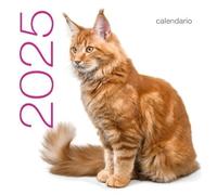 Calendrier mural 2025 Chats - - Collectif - White Star Eds - Calendrier