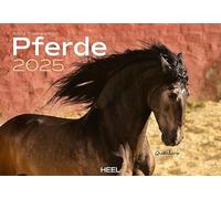 Calendrier mural 2025 : le calendrier animal avec les noms charmants chevaux, poulains, juments