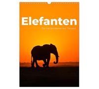 Calendrier mural 2026 format A3 - Motif éléphants - Calendrier mensuel CALVENDO
