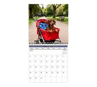 Calendrier Mural 2027 Agenda planificateur avec illustrations drôles de | Calendrier annuel 12 mois pour la maison, le bureau, la salle de insi que les amoureux des chiens
