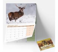 Calendrier mural 2027 au Royaume-Uni A4 avec une belle photographie d'animaux britanniques | Papier à suspendre