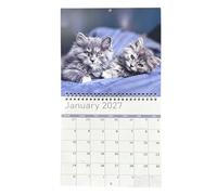 Calendrier mural 2027 motif chat - Planificateur 2027 | à | Illustrations drôles de chaton regardant, carré 21 x 21 cm, mise en page 12 mois, cadeau pour les amoureux des animaux