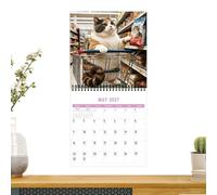Calendrier mural 2027 sur le thème des chatons - 12 mois | Calendrier 2027 sur le thème des chats pour l'intérieur, les voyages, le bureau, la chambre à coucher, l'école