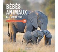 Calendrier mural Bébés Animaux 2026 - Collectif - Hugo Image - broché - Calendrier