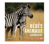 Calendrier Mural Bébés Animaux - Edition 2024