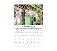 Calendrier mural chat 2026, planification de 13 mois, calendrier animal suspendu - Pour l'école, le bureau, l'atelier, le salon, la salle d'étude, la reelancers Enseignants et étudiants