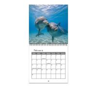 Calendrier mural dauphin grand format | Calendrier mural mensuel 2027 pour bureau, salle à manger, salon, chambre à coucher, amoureux des animaux, étudiants, adultes