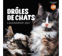 Calendrier mural Drôles de chats 2027 - Collectif - Hugo Image - broché - Calendrier