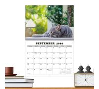 Calendrier mural Gatti 2026 - planificateur mensuel 13 mois | Agenda illustré d' de chats, d'organisateur pour les étudiants, les enseignants, le bureau, létudes, chambres et l'utilisatio