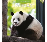 Calendrier mural mensuel 2027 Pandas Red Robin | 30,5 x 30,5 cm | Calendrier de 12 mois à suspendre, papier épais et robuste de qualité supérieure, notes lignées et zone de tâches