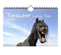 Calendrier mural pour 2024 Motif animaux de la magie d'animaux drôles Format A5