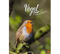 Calendrier poster 2025 oiseaux dans nos jardins : de nombreuses photos et textes informatifs sur 12 espèces d'oiseaux dans un calendrier mural fascinant. Calendrier décoratif à valeur ajoutée pour les