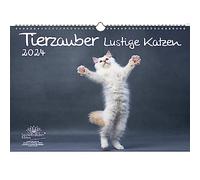 Calendrier pour chats drôles - Format A3 - Pour 2024 - Motif chats drôles - Sorts d'âme