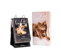 Calendrier quotidien 2026 motif chat - 365 jours d'art mignon - Pages détachables comme cartes postales, décoration de bureau à anneaux et cadeau pour le Nouvel An et la Saint-Valentin
