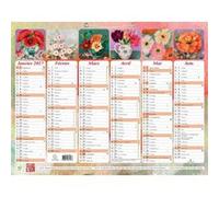 Calendrier Semestriel Exacompta 2027 Sophie Adde avec illustrations 43 x 33,5 cm Multicolore