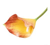 Calla artificielle Real Touch pour lys 48 cm Décoration de mariage (orange) | Texture au toucher réaliste, hauteur totale de 48 cm, fleur blanche élégante, pas d'arrosage nécessaire