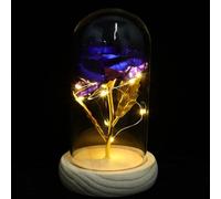 CALLARON Lampe Décorative LED avec Rose Éternelle sous Cloche en Verre, Éclairage à Faible Consommation, Matériau Verre et Bois, pour Décoration Maison ou Bureau
