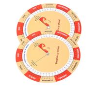 CALLARON Lot de 2 Disques de Grossesse en Papier Coloré Guide de Grossesse Inclus Suivi Pratique du Développement Fœtal des Femmes Enceintes