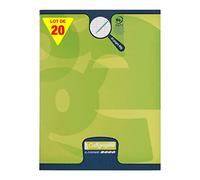 Calligraphe 108703C Un Lot de 20 Cahiers Agrafés Verts (une Marque de Clairefontaine) - 17x22 cm - 32 Pages Grands Carreaux 3 mm Agrandis 12/12 - Papier 90 g - Couverture Carte Offset