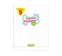 Calligraphe 18189C Un Lot de 5 Cahiers de Travaux Pratiques Agrafés Incolores - 24x32 cm - 96 Pages Grands Carreaux et Unies Blanches - Papier 90 g - Couverture Polypro Transparent