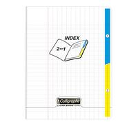 Cahier piqué 2 index 8000 POLYPRO 17x22cm 96 pages grands carreaux Incolore - Incolore