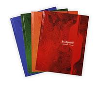Calligraphe 7207C Un Cahier Brochure Rembordée Rigide (une Marque de Clairefontaine) - 17x22 cm - 288 Pages Grands Carreaux - Papier 70 g - Couverture Carte Recy Vernie - Couleur Aléatoire