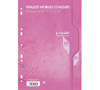 Calligraphe Feuillets mobiles sous film 7000 A4 – 100 pages perforées, grands carreaux, 80 g
