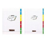 Cahier 4 index piqué 8000 POLYPRO17x22 cm 140 pages grands carreaux 90 g - Incolore