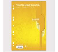 Feuillets mobiles sous film 7000 A4 100 pages perforées grands carreaux 80 g