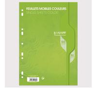 Feuillets mobiles sous film 7000 A4 100 pages perforées grands carreaux 80 g