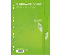 Feuillets mobiles sous film 7000 A4 100 pages perforées grands carreaux 80 g