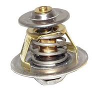 Calorstat d'eau 87° - 102°C pour Transporter D / TD