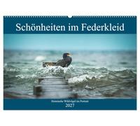 CALVENDO - Beautés dans la robe à plumes - Oiseaux sauvages domestiques en portrait (calendrier mural 2027 DIN A2 paysage), calendrier mensuel : un aperçu de la diversité des couleurs de nos oiseaux