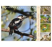 CALVENDO - Mes oiseaux préférés (calendrier de bureau 2027 DIN A5 paysage), calendrier mensuel : toute la splendeur, portrait et robe à plumes