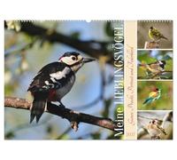 CALVENDO Mes oiseaux préférés (calendrier mural 2027 DIN A2 paysage), calendrier mensuel : toute la splendeur, portrait et robe à plumes