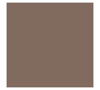 Cam Allem Brun Clair 144 / 825 Pot De Peinture Acrylique 17ml - Prince August