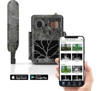 Caméra de chasse sans fil - Transmission 4G LTE - 12 MP - 1080p - Étanche IP66 - Vision nocturne et carte SD 32 Go incluse