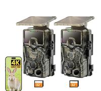 Caméra de chasse solaire 4K IP66 étanche avec vision nocturne, détecteur de mouvement, caméra de surveillance animalière, carte mémoire de 32 Go incluse, sans Wi-Fi, 2 pièces
