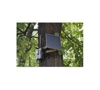 Caméra de chasse TX-189 Transfert dimages 4G, LED sans lueur, enregistrement sonore vert-marron, vert-noir (fluorescent)